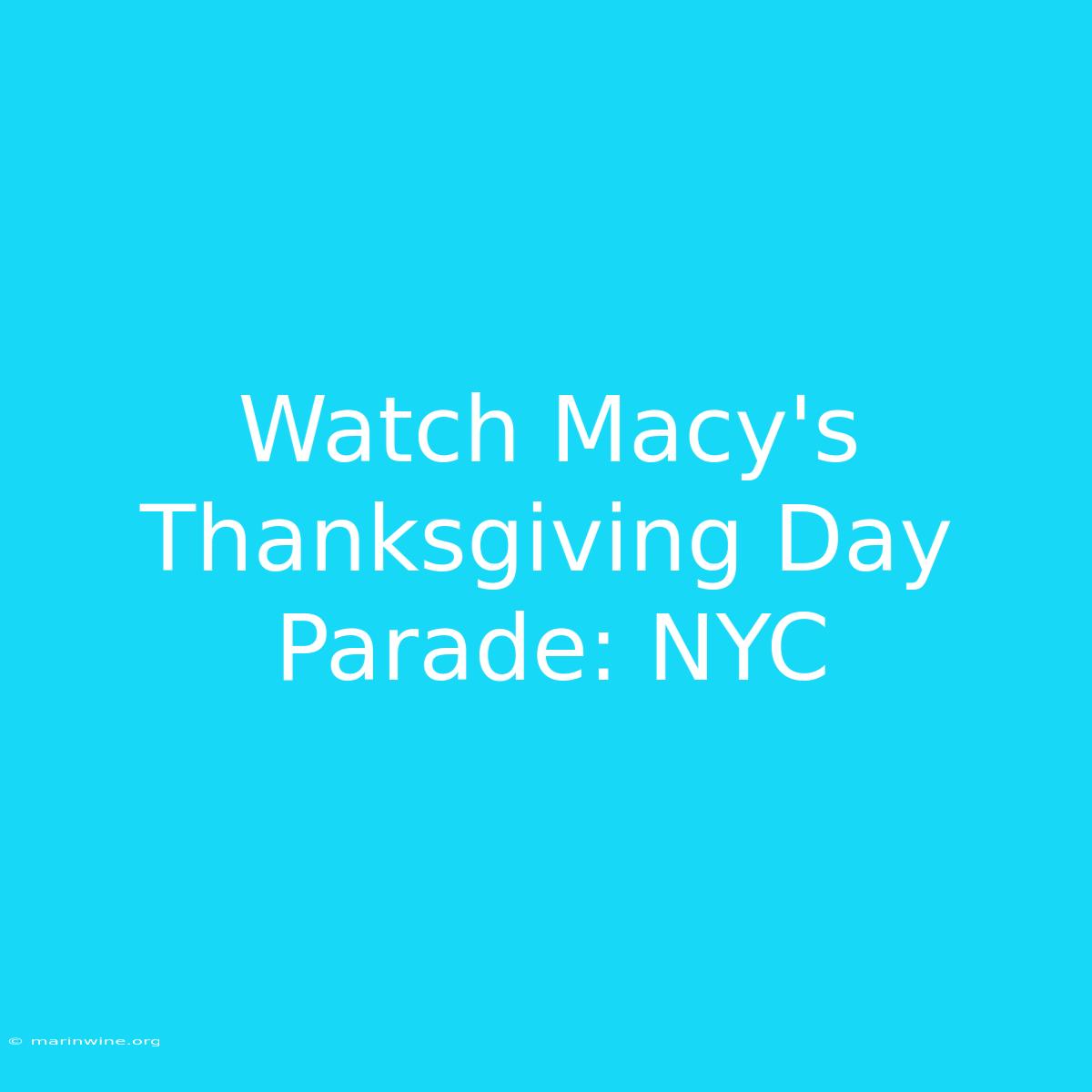 Watch Macy's Thanksgiving Day Parade: NYC