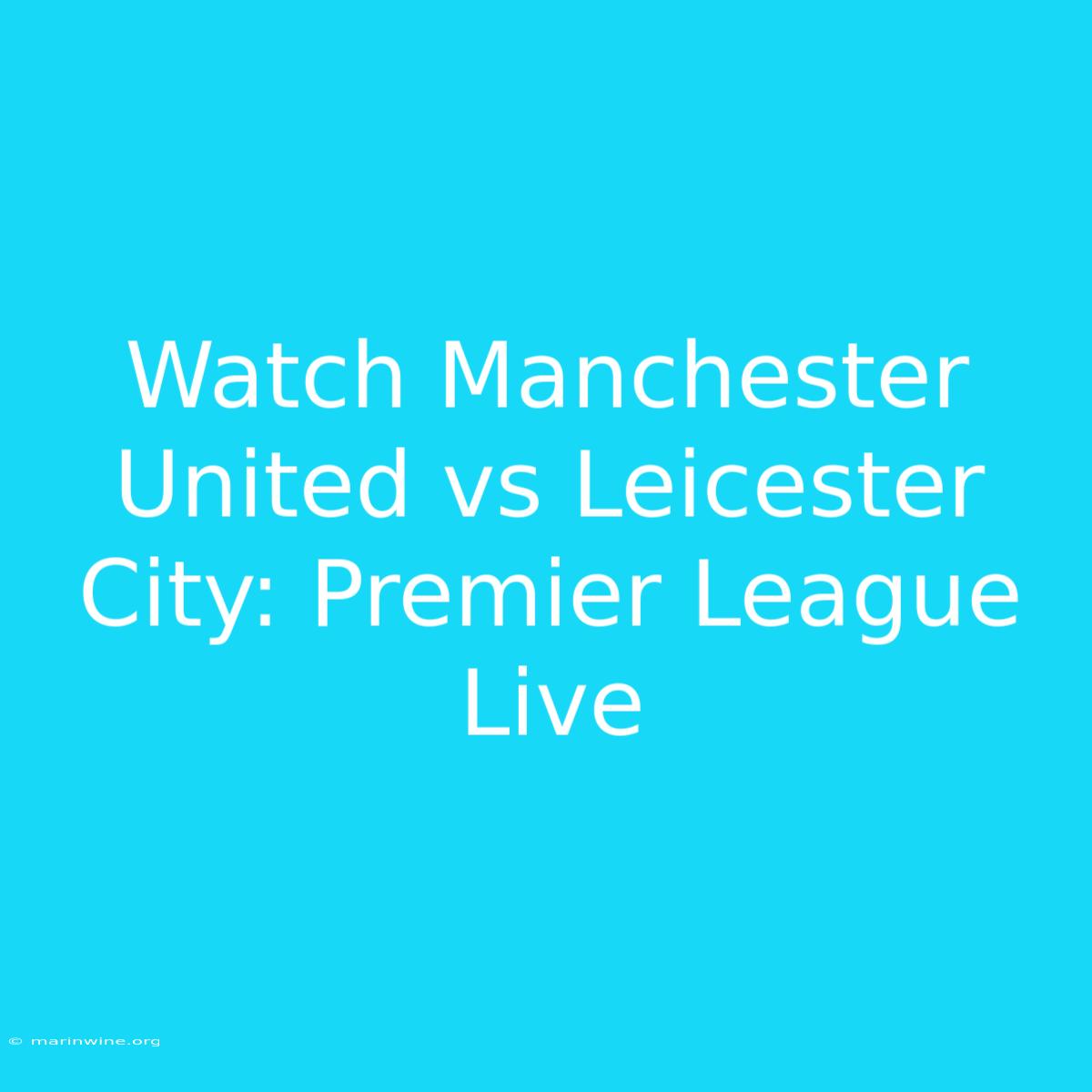 Watch Manchester United Vs Leicester City: Premier League Live 