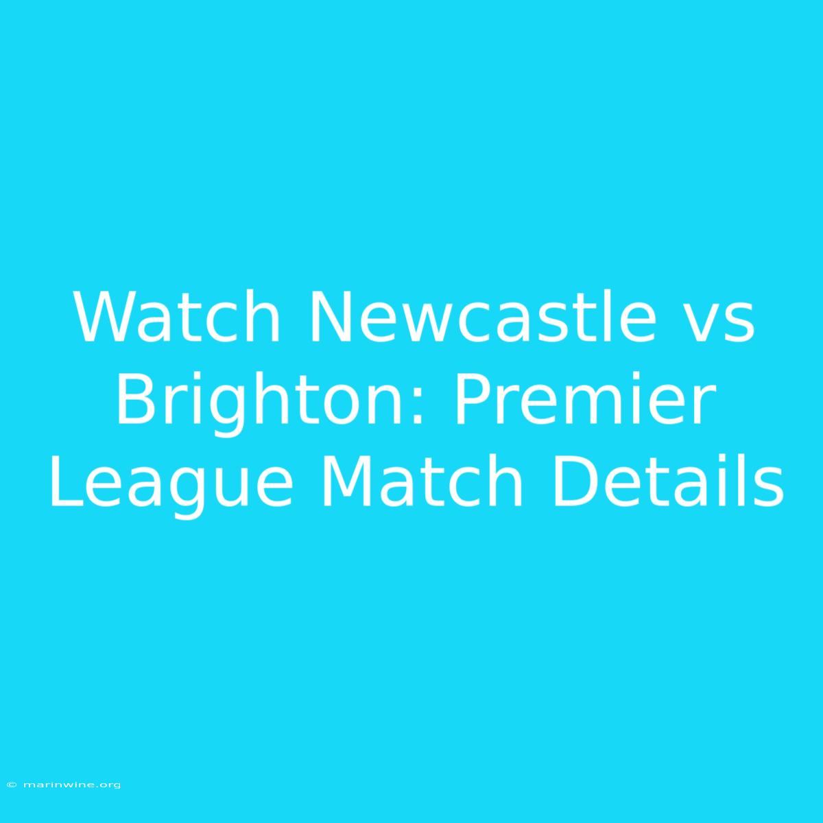 Watch Newcastle Vs Brighton: Premier League Match Details