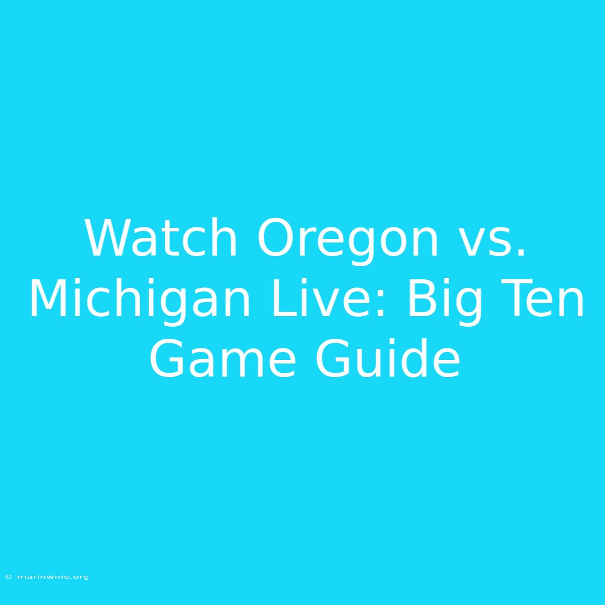 Watch Oregon Vs. Michigan Live: Big Ten Game Guide