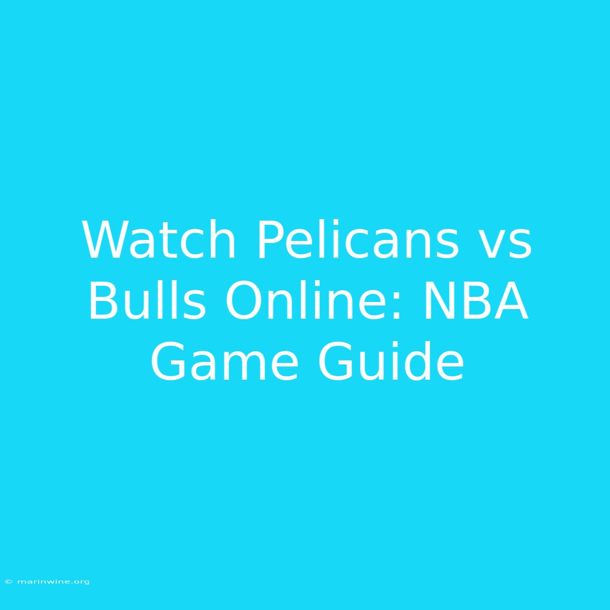 Watch Pelicans Vs Bulls Online: NBA Game Guide