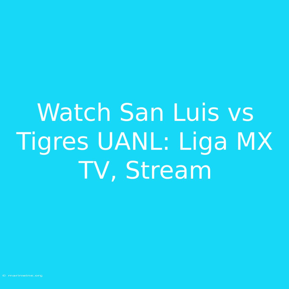 Watch San Luis Vs Tigres UANL: Liga MX TV, Stream