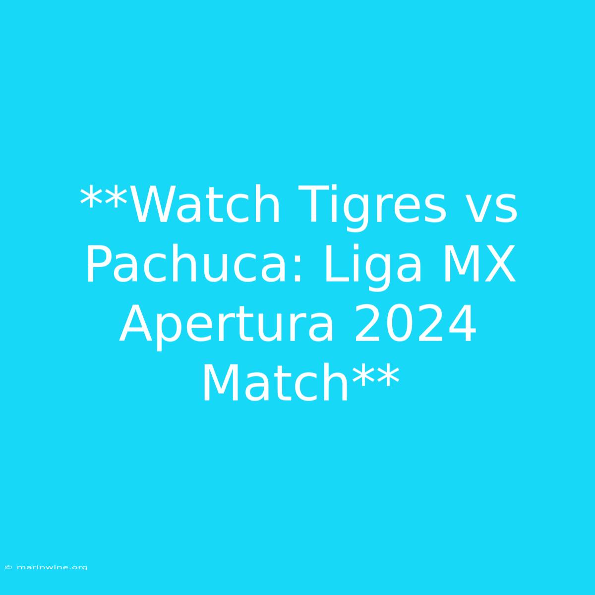 **Watch Tigres Vs Pachuca: Liga MX Apertura 2024 Match** 