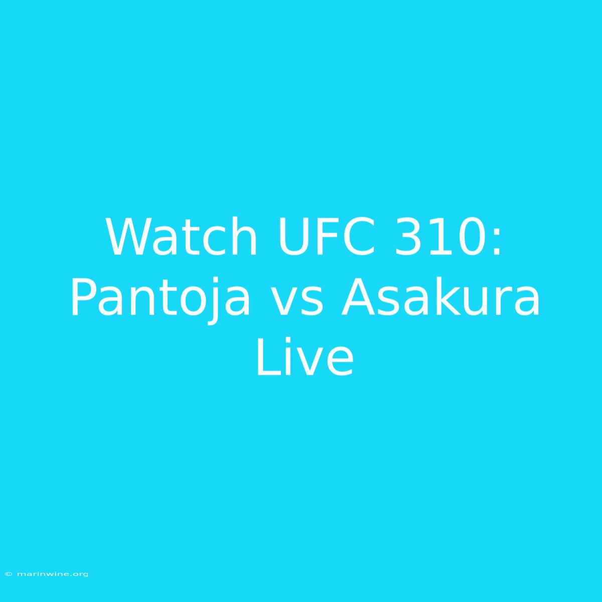 Watch UFC 310: Pantoja Vs Asakura Live