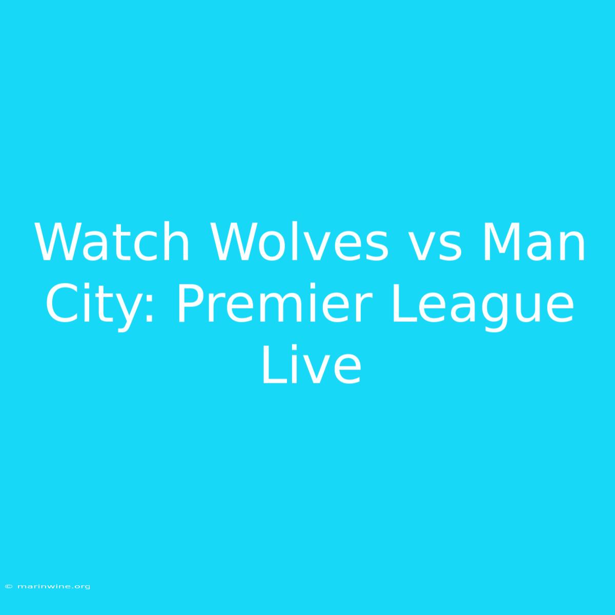 Watch Wolves Vs Man City: Premier League Live