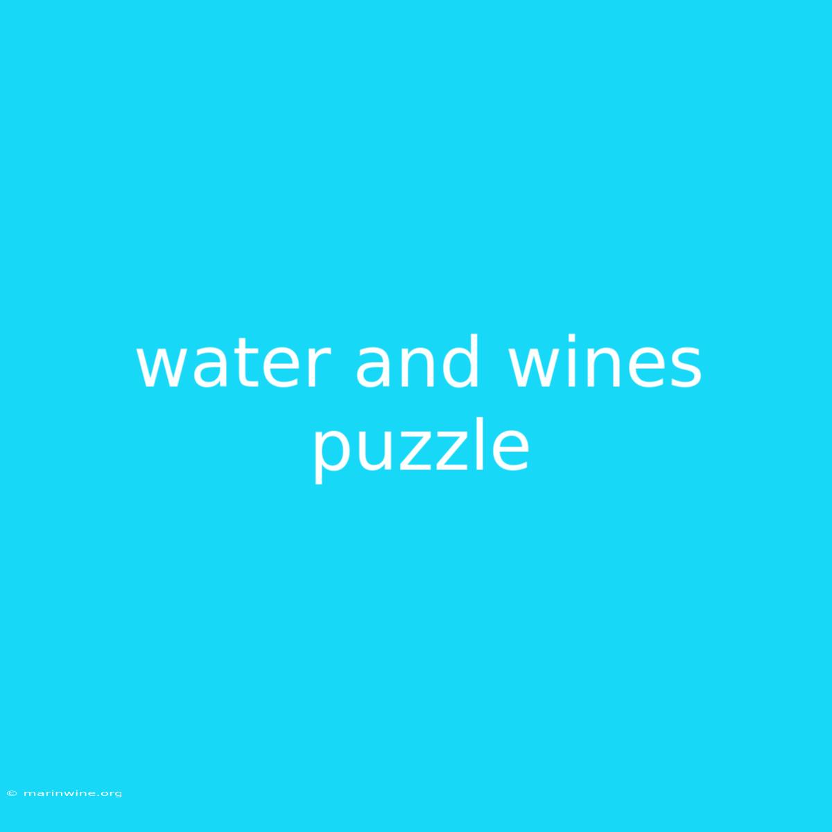 Water And Wines Puzzle