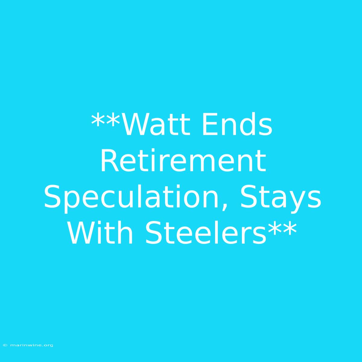 **Watt Ends Retirement Speculation, Stays With Steelers** 