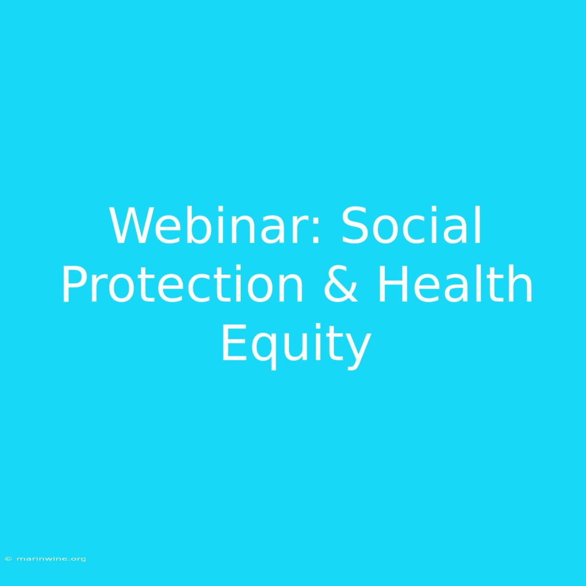 Webinar: Social Protection & Health Equity