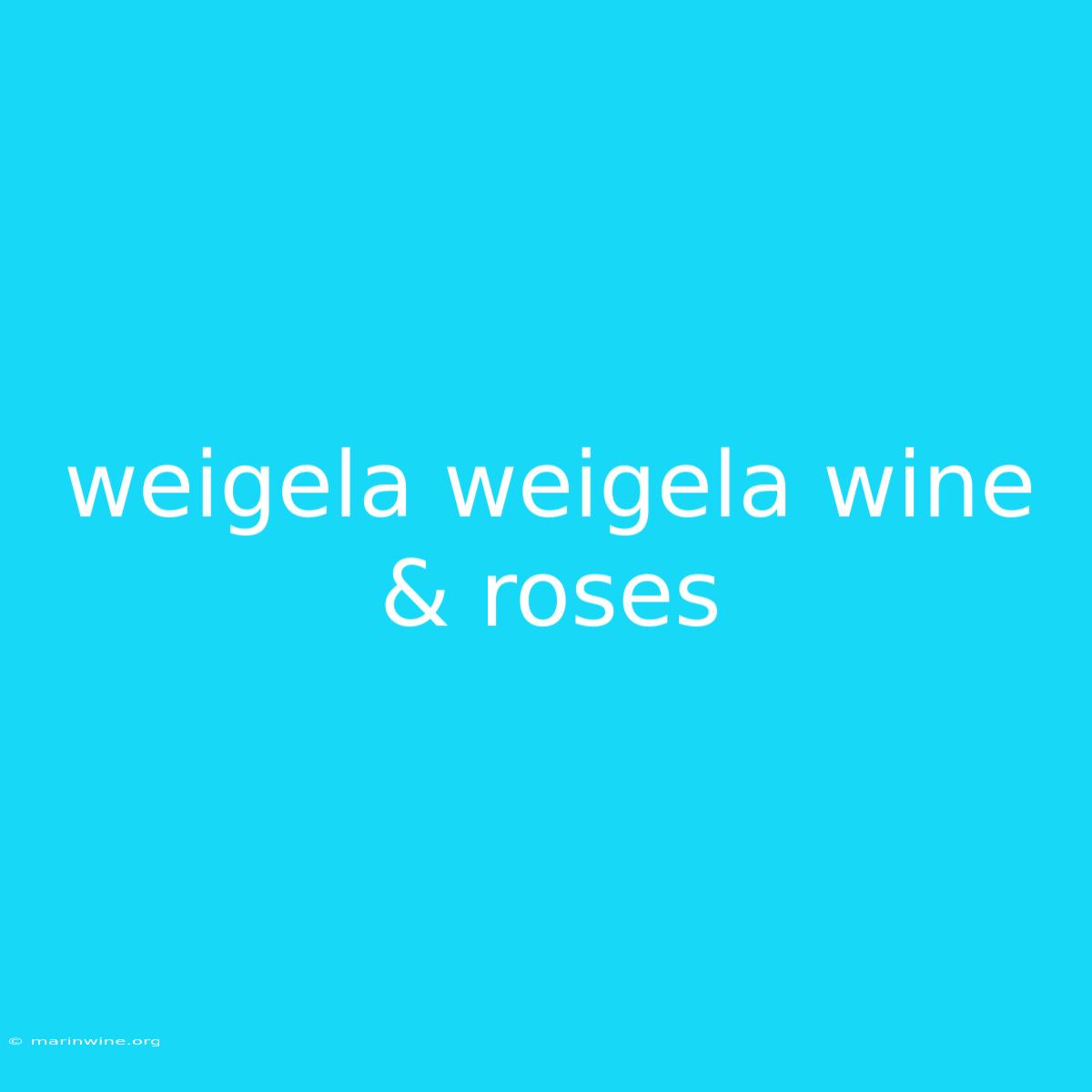 Weigela Weigela Wine & Roses