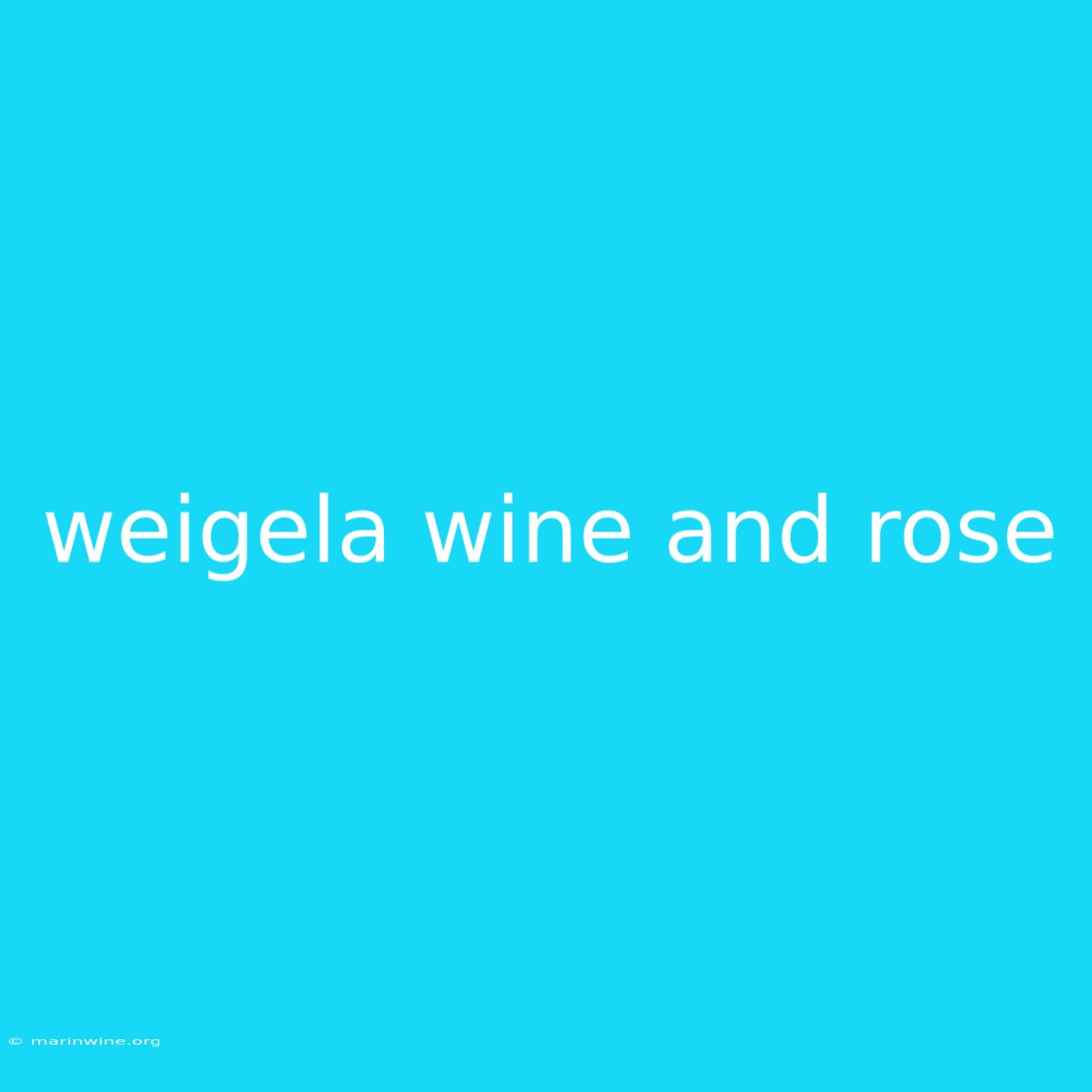 Weigela Wine And Rose