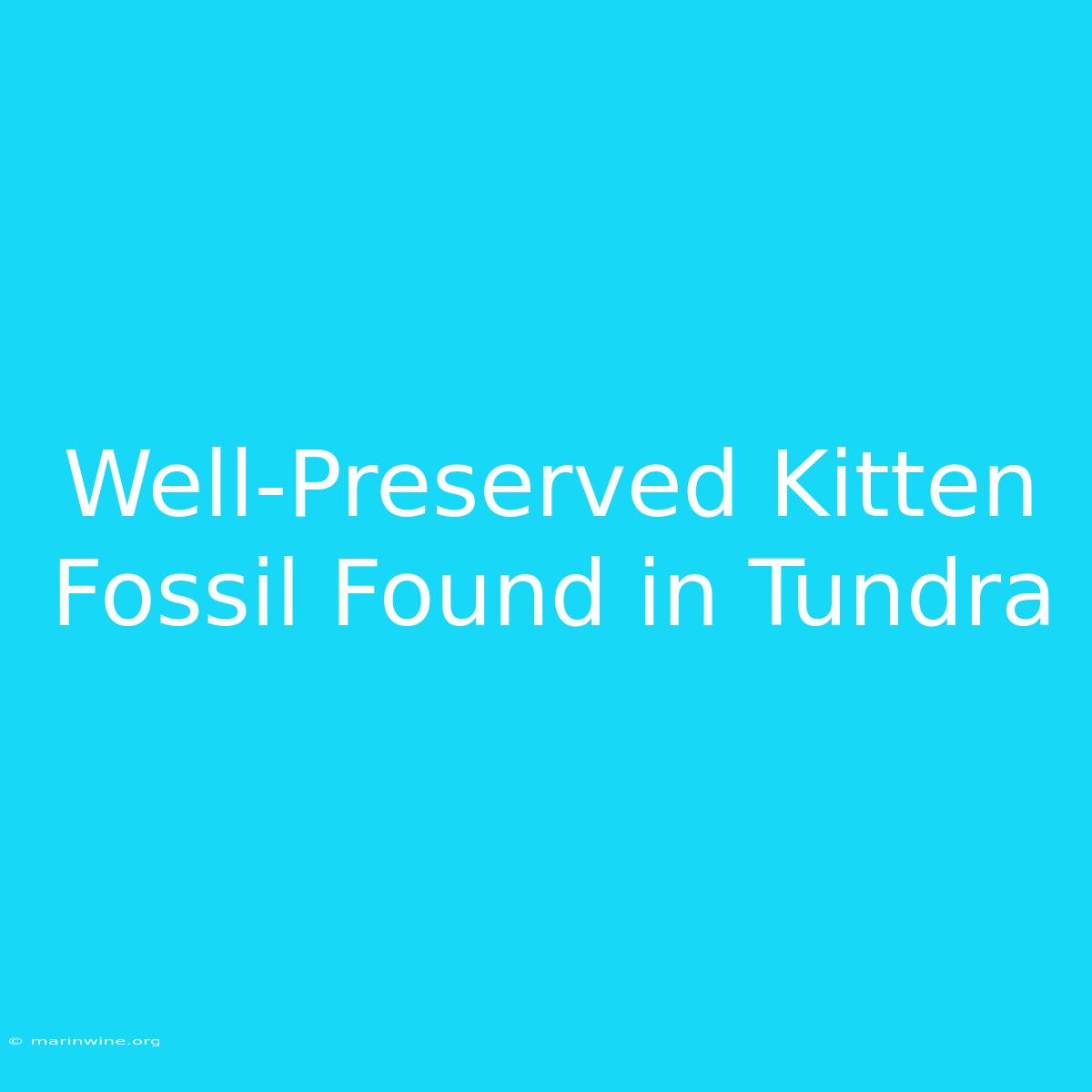 Well-Preserved Kitten Fossil Found In Tundra