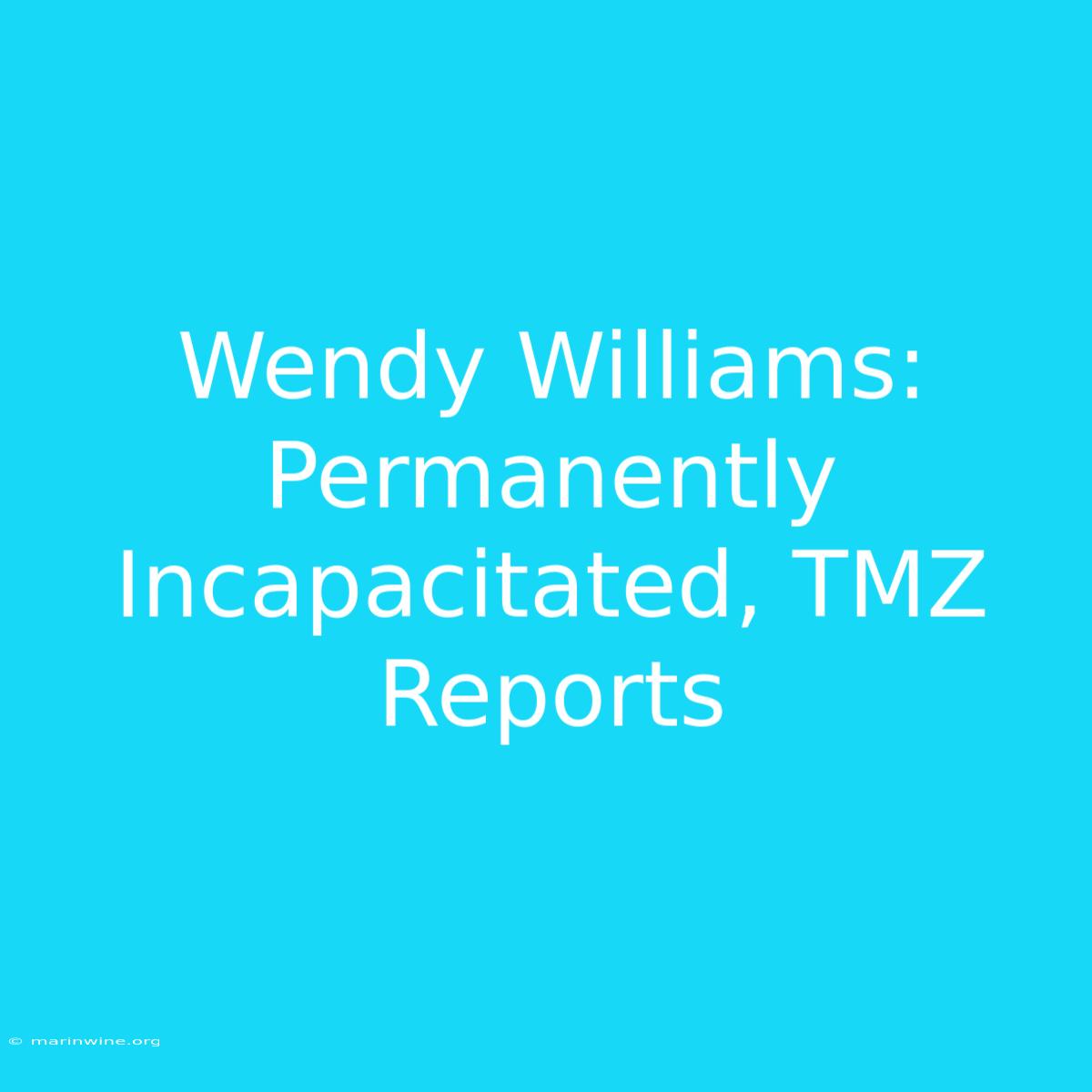 Wendy Williams: Permanently Incapacitated, TMZ Reports