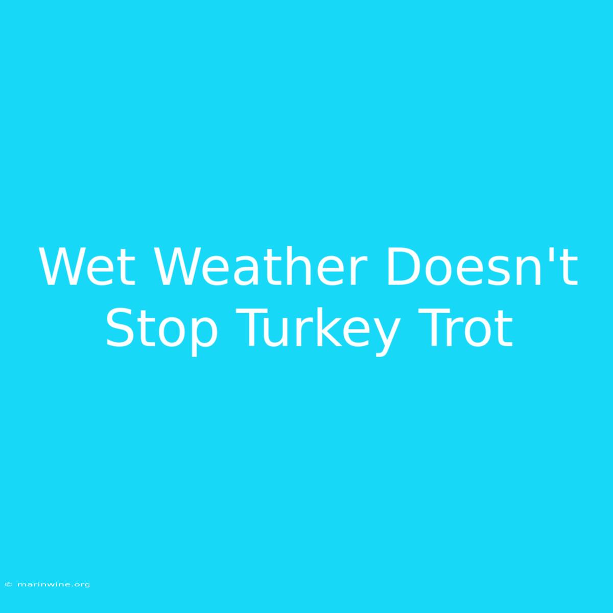 Wet Weather Doesn't Stop Turkey Trot