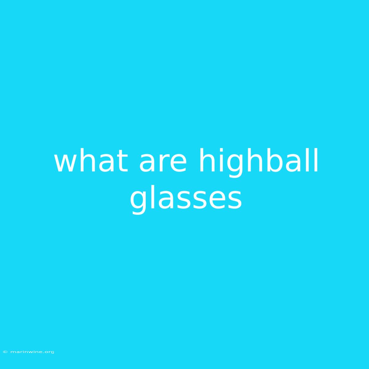 What Are Highball Glasses