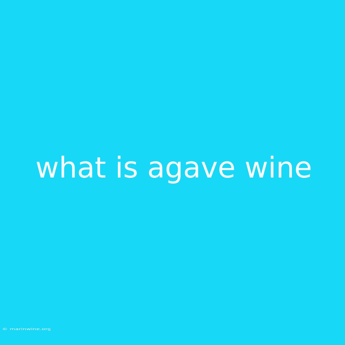 What Is Agave Wine