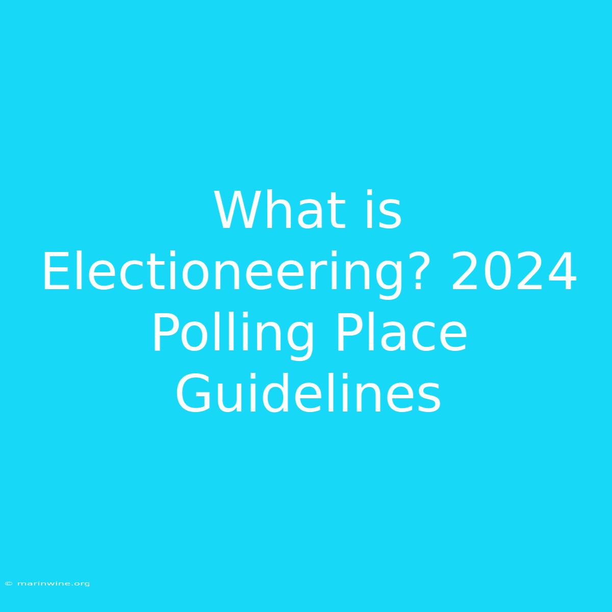 What Is Electioneering? 2024 Polling Place Guidelines