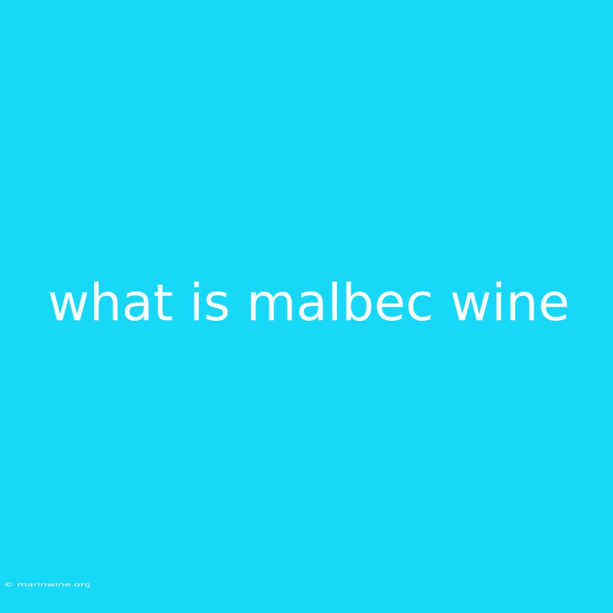 What Is Malbec Wine