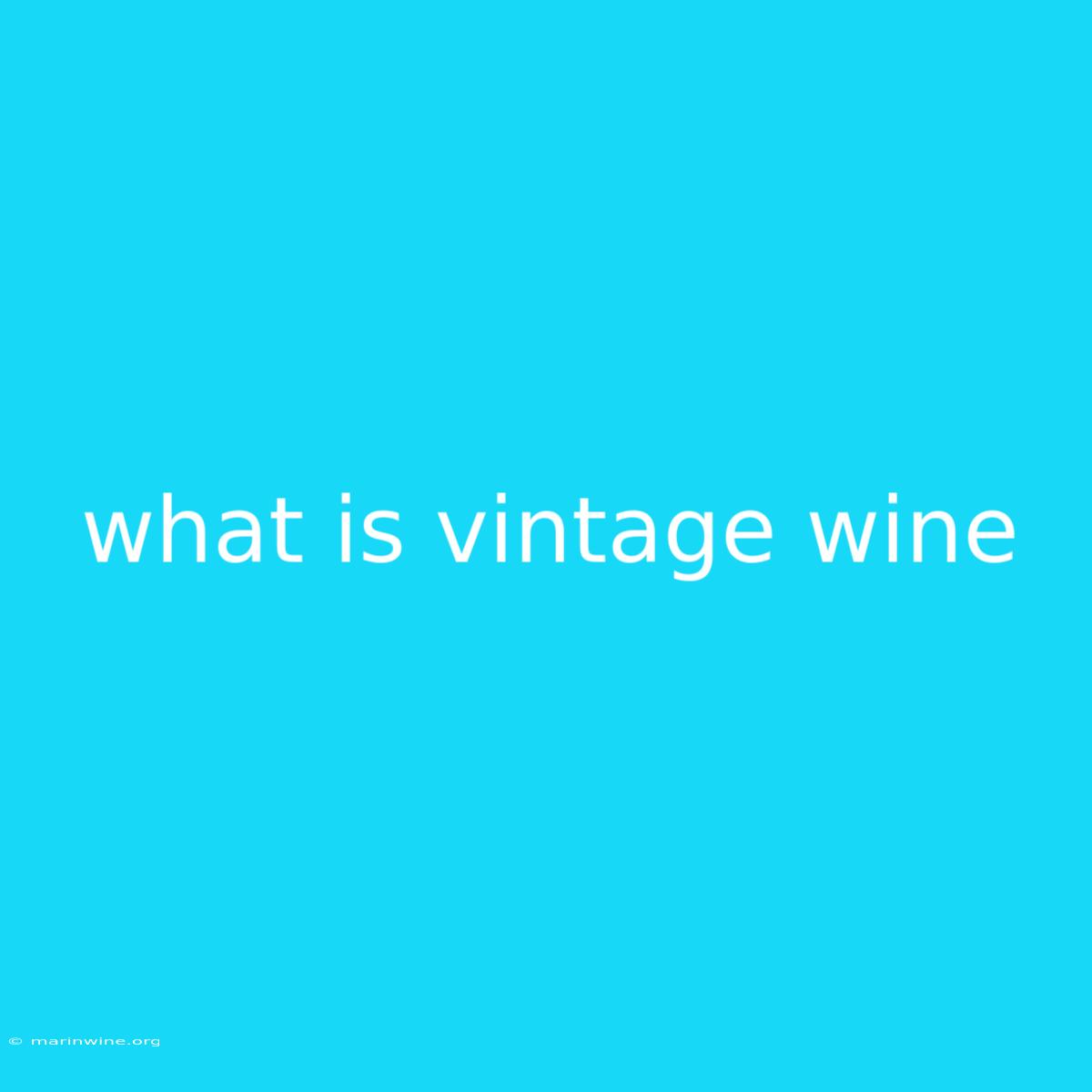 What Is Vintage Wine