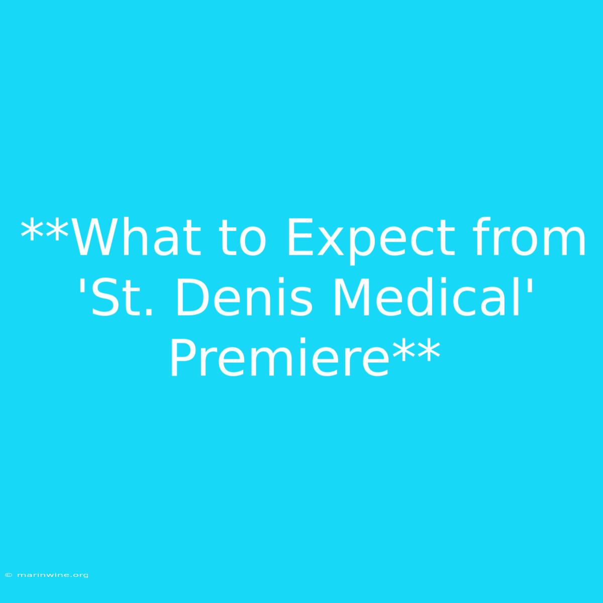 **What To Expect From 'St. Denis Medical' Premiere**