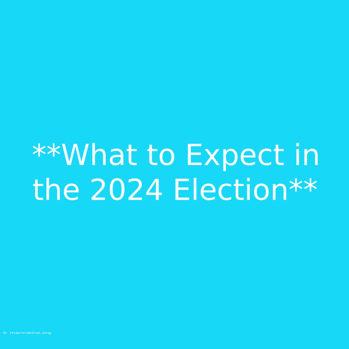 **What To Expect In The 2024 Election** 