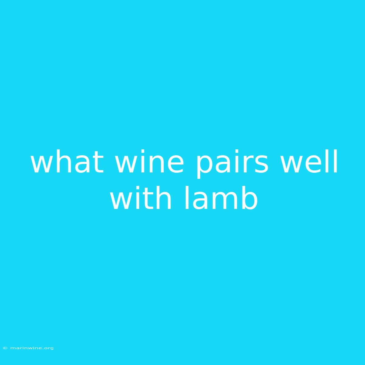 What Wine Pairs Well With Lamb