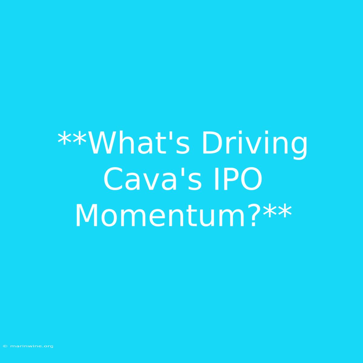 **What's Driving Cava's IPO Momentum?** 