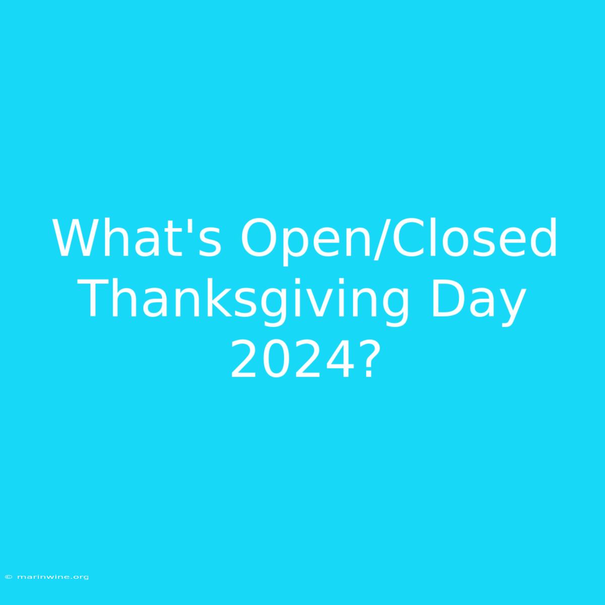 What's Open/Closed Thanksgiving Day 2024?