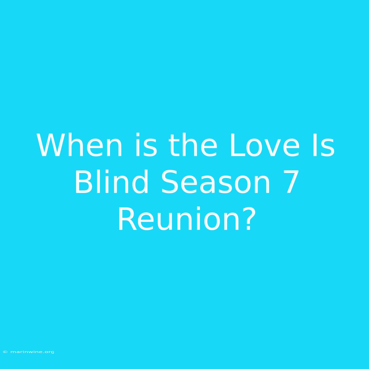 When Is The Love Is Blind Season 7 Reunion?