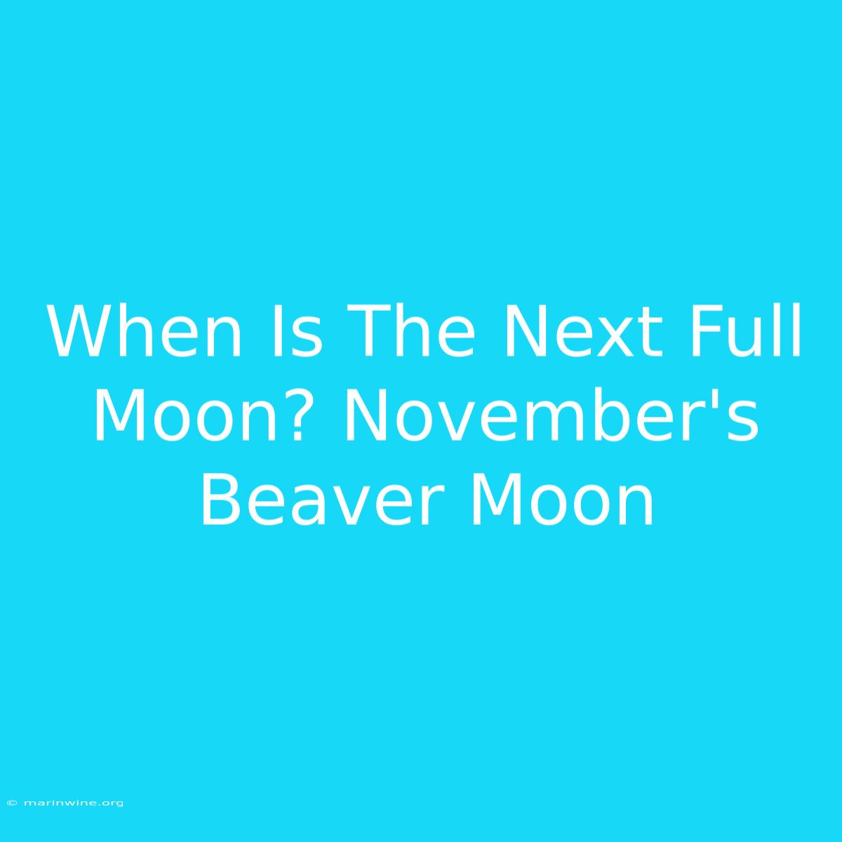 When Is The Next Full Moon? November's Beaver Moon