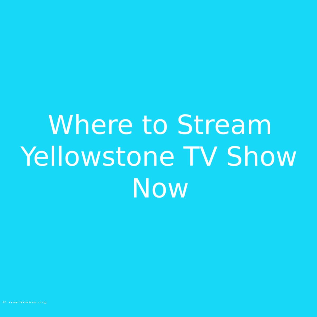 Where To Stream Yellowstone TV Show Now