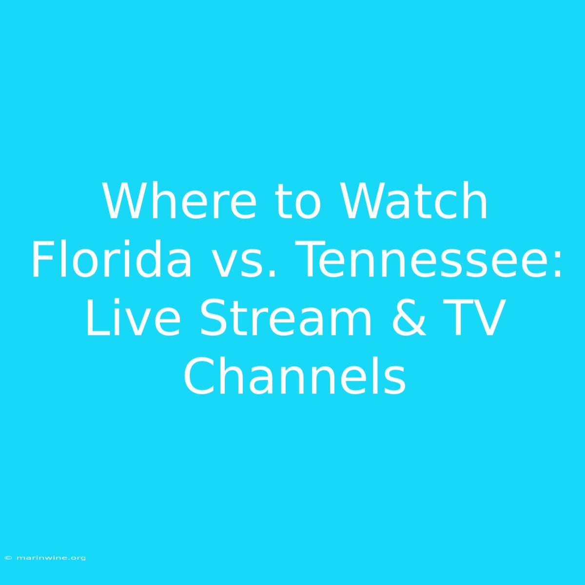 Where To Watch Florida Vs. Tennessee: Live Stream & TV Channels