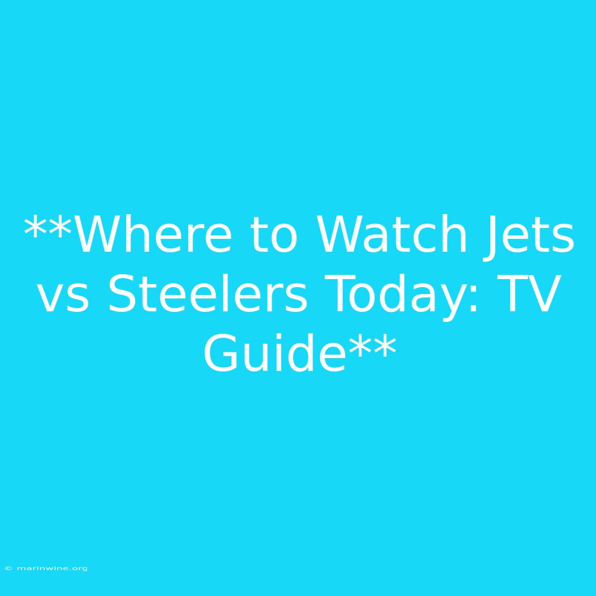 **Where To Watch Jets Vs Steelers Today: TV Guide**