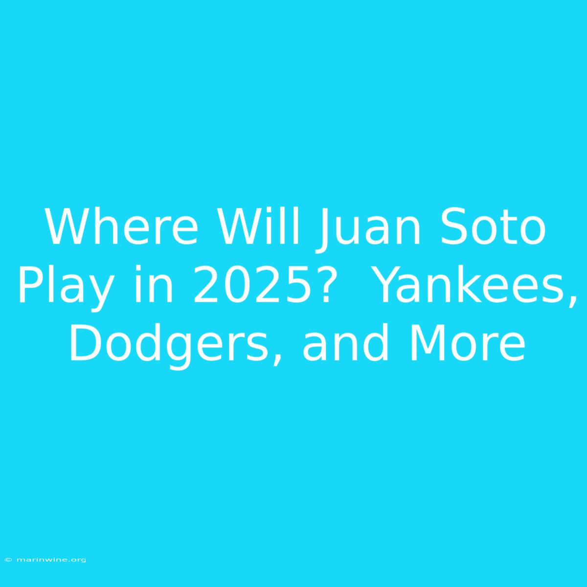 Where Will Juan Soto Play In 2025?  Yankees, Dodgers, And More 