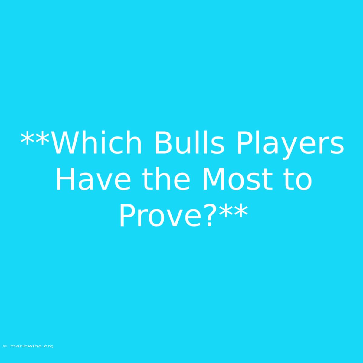 **Which Bulls Players Have The Most To Prove?** 