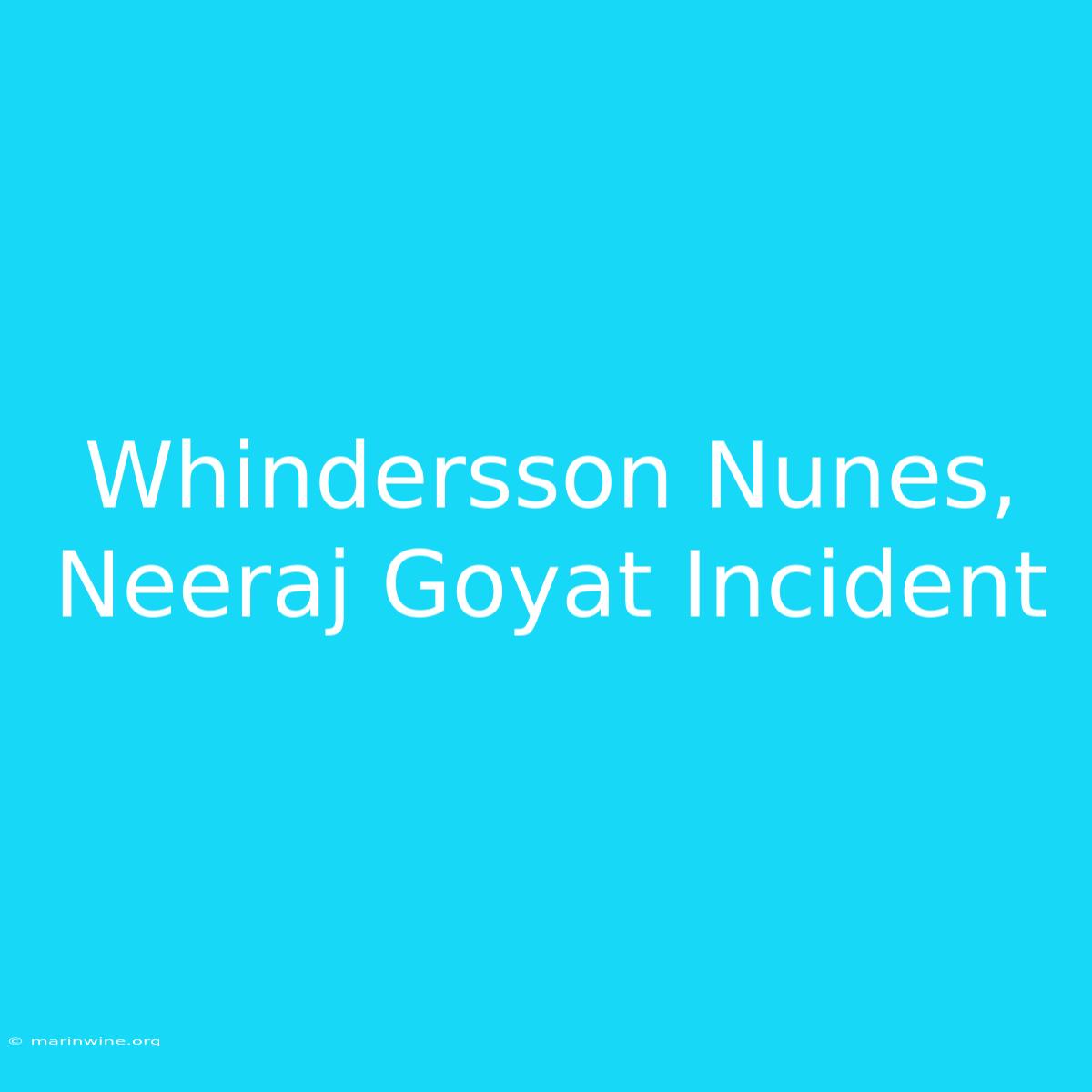 Whindersson Nunes, Neeraj Goyat Incident