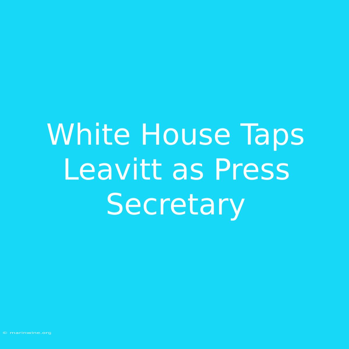 White House Taps Leavitt As Press Secretary