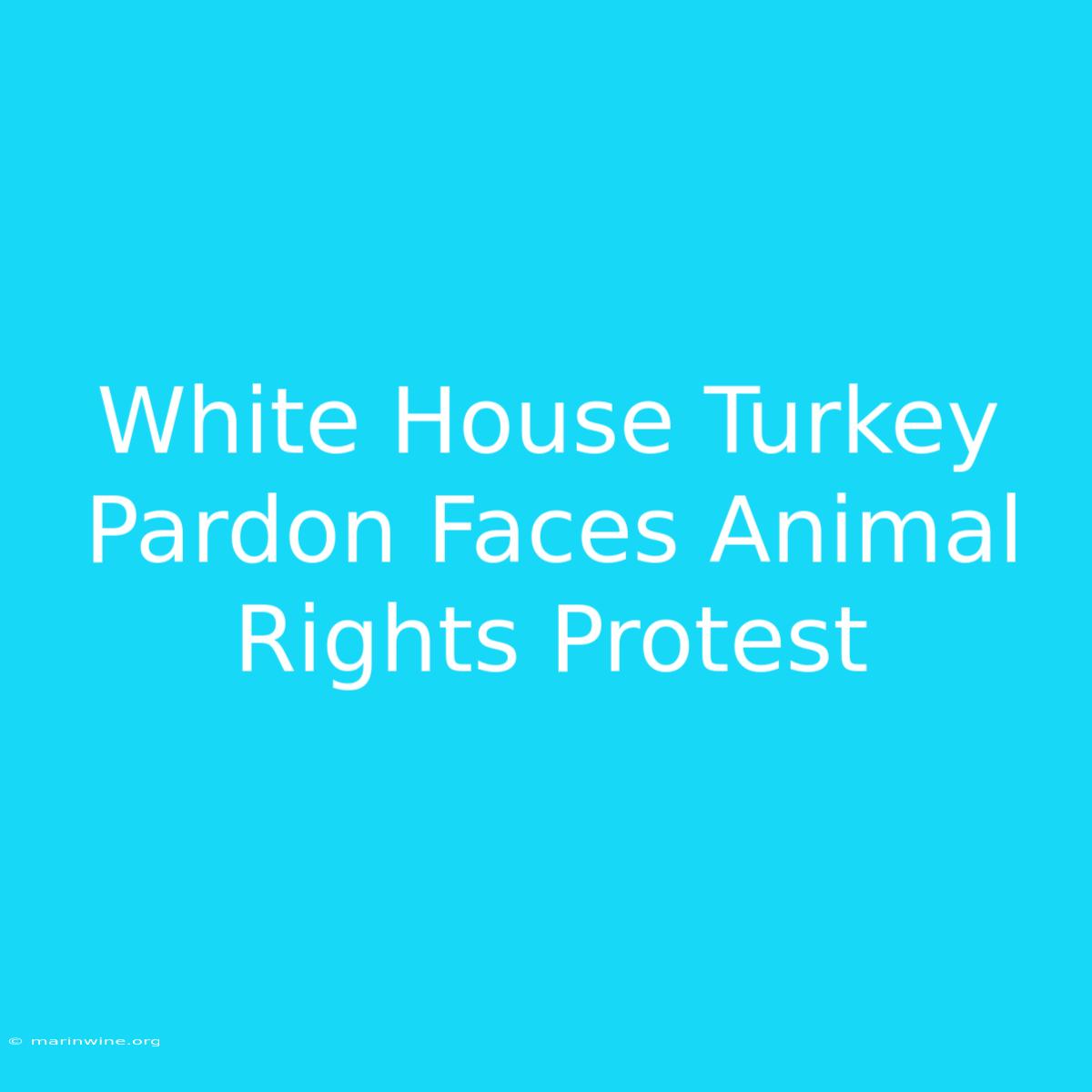 White House Turkey Pardon Faces Animal Rights Protest