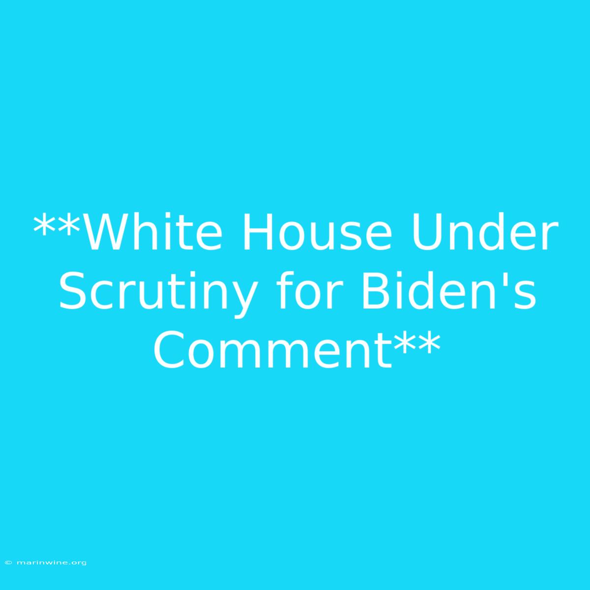 **White House Under Scrutiny For Biden's Comment**