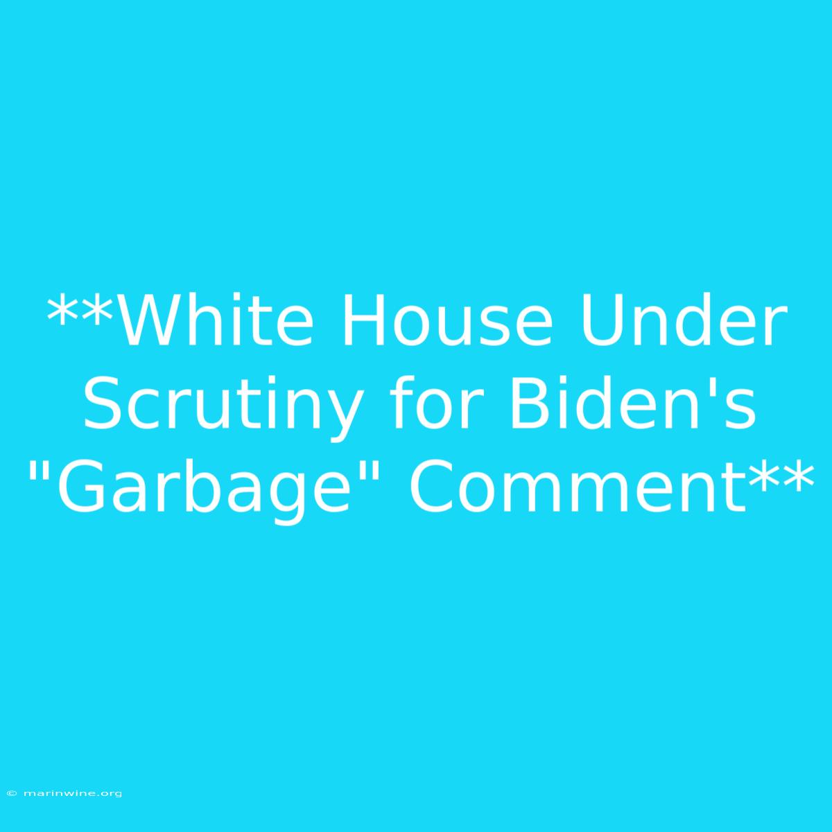 **White House Under Scrutiny For Biden's 