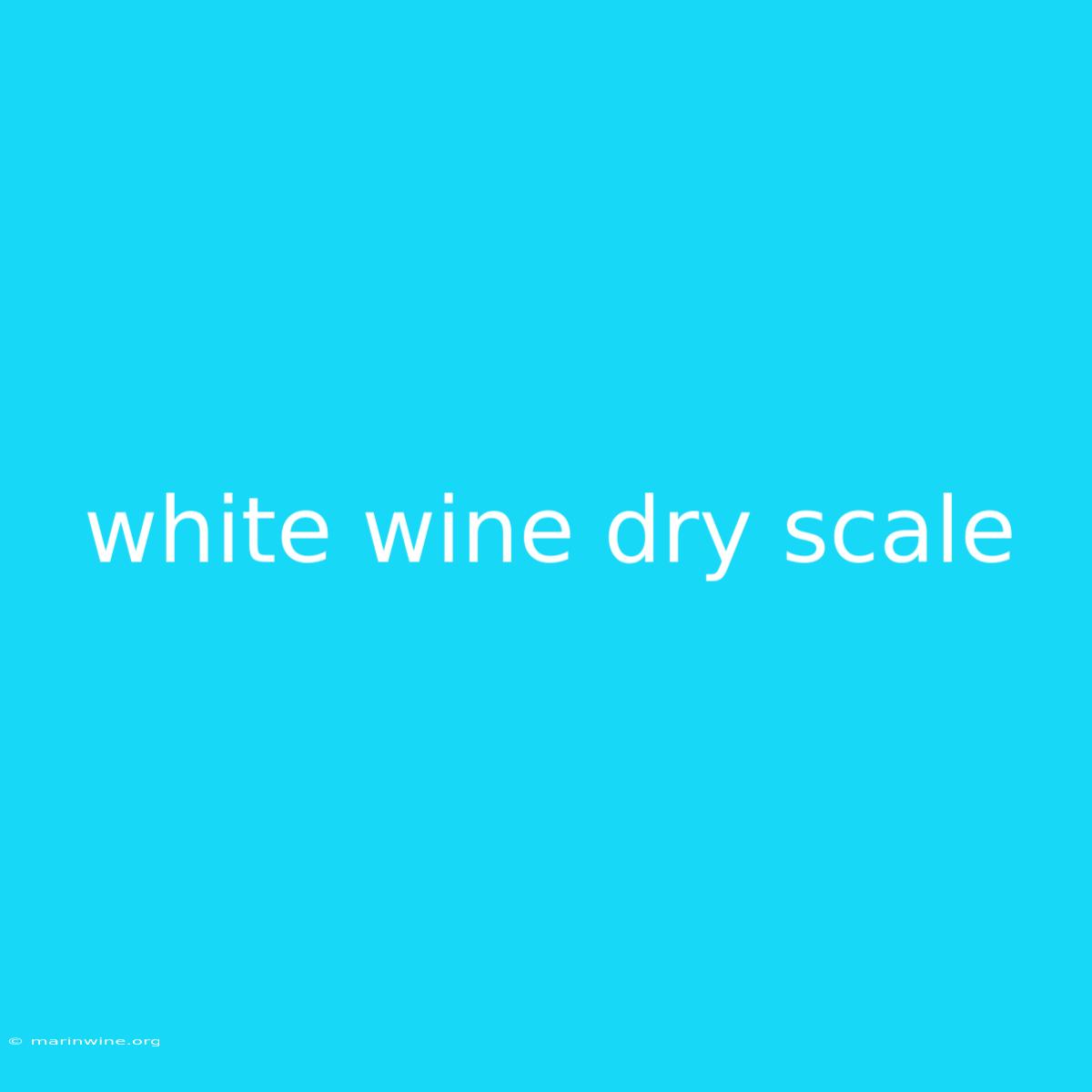 White Wine Dry Scale