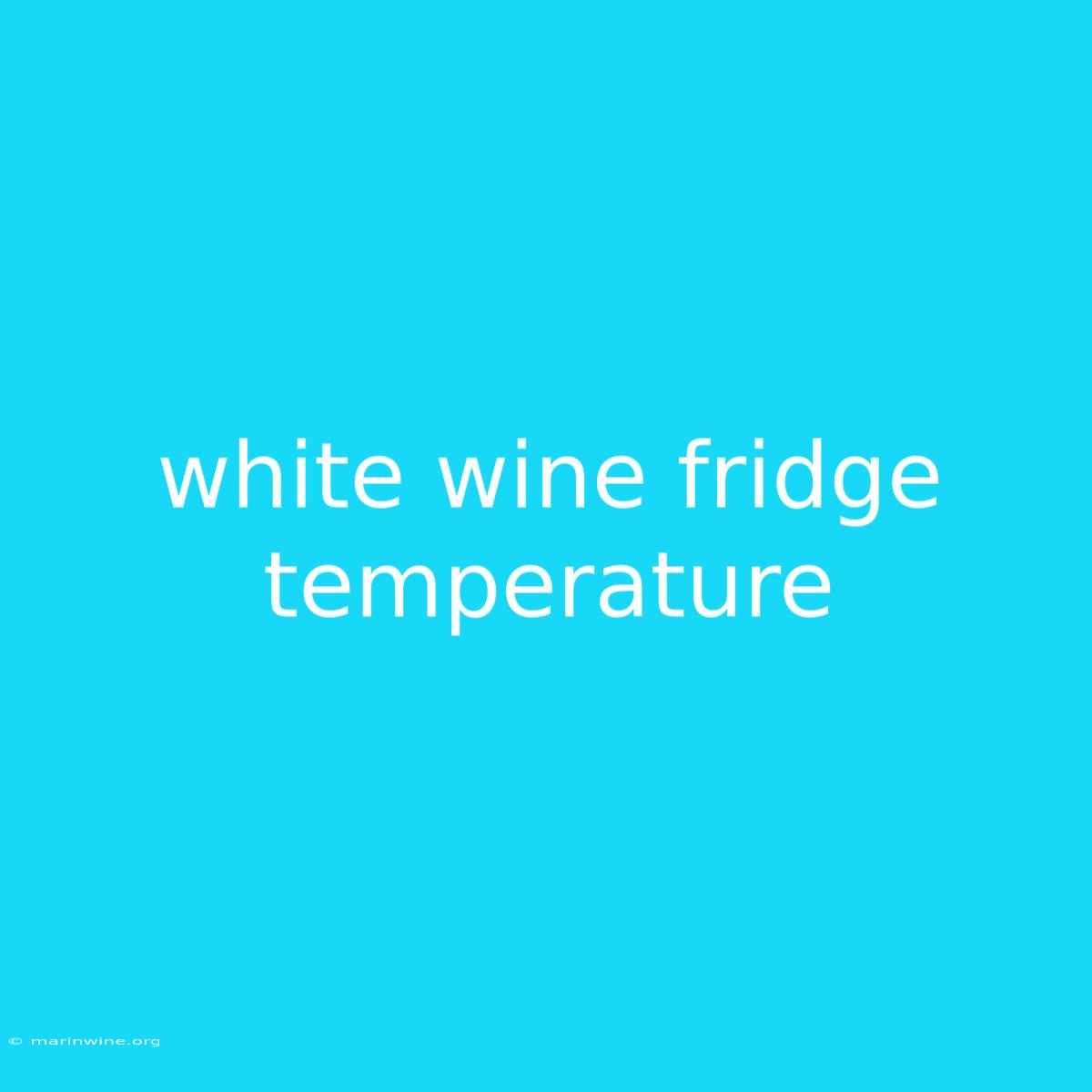 White Wine Fridge Temperature