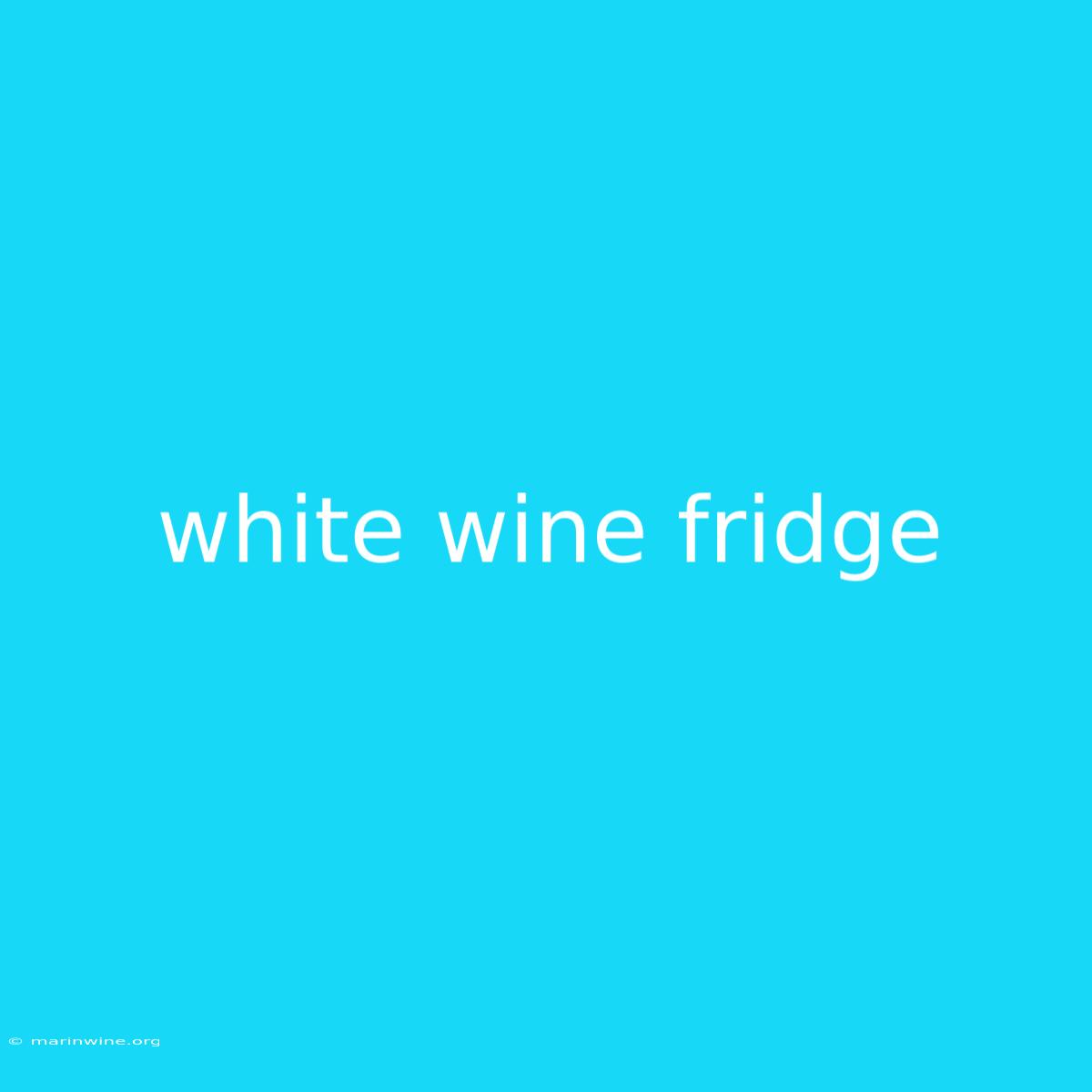 White Wine Fridge