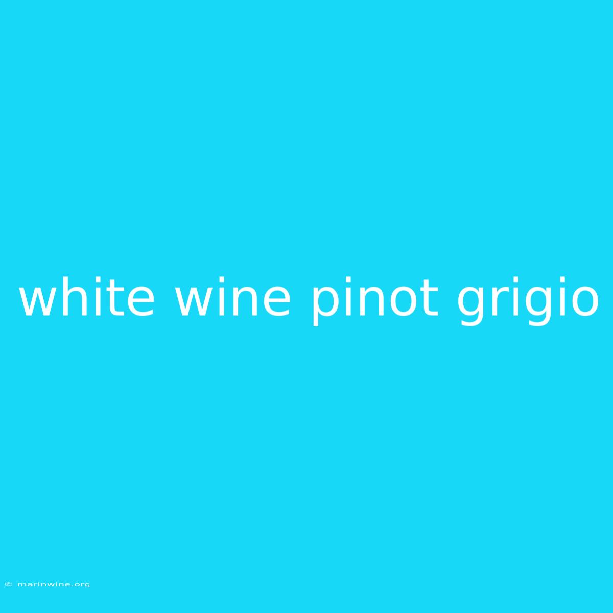 White Wine Pinot Grigio