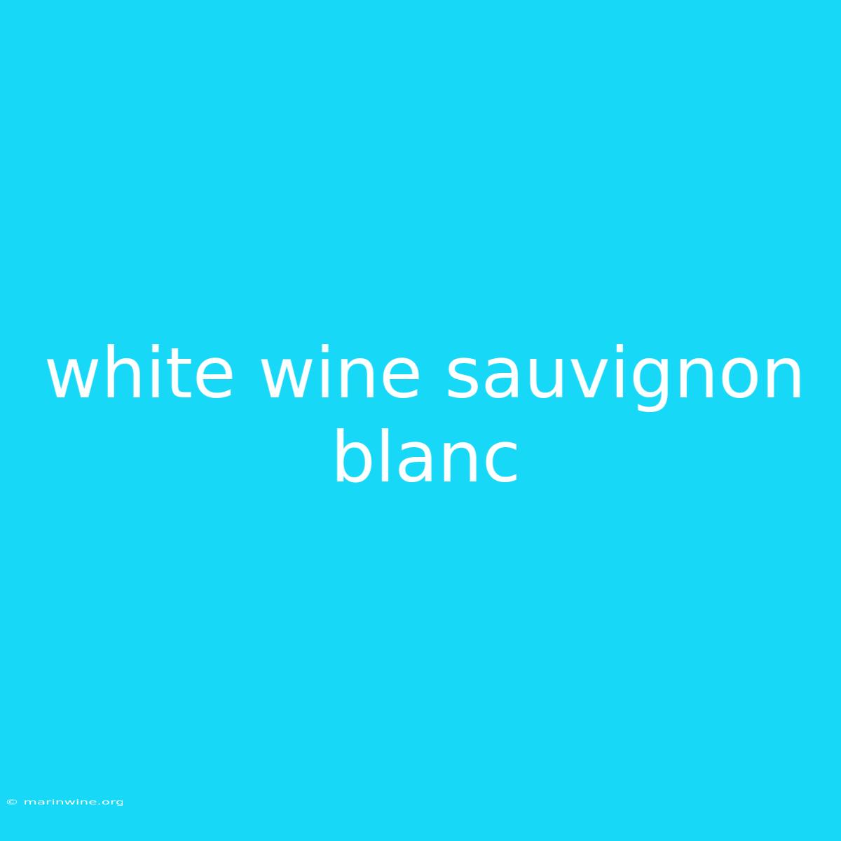 White Wine Sauvignon Blanc