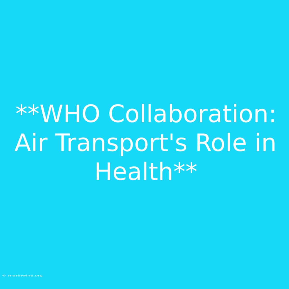 **WHO Collaboration: Air Transport's Role In Health** 