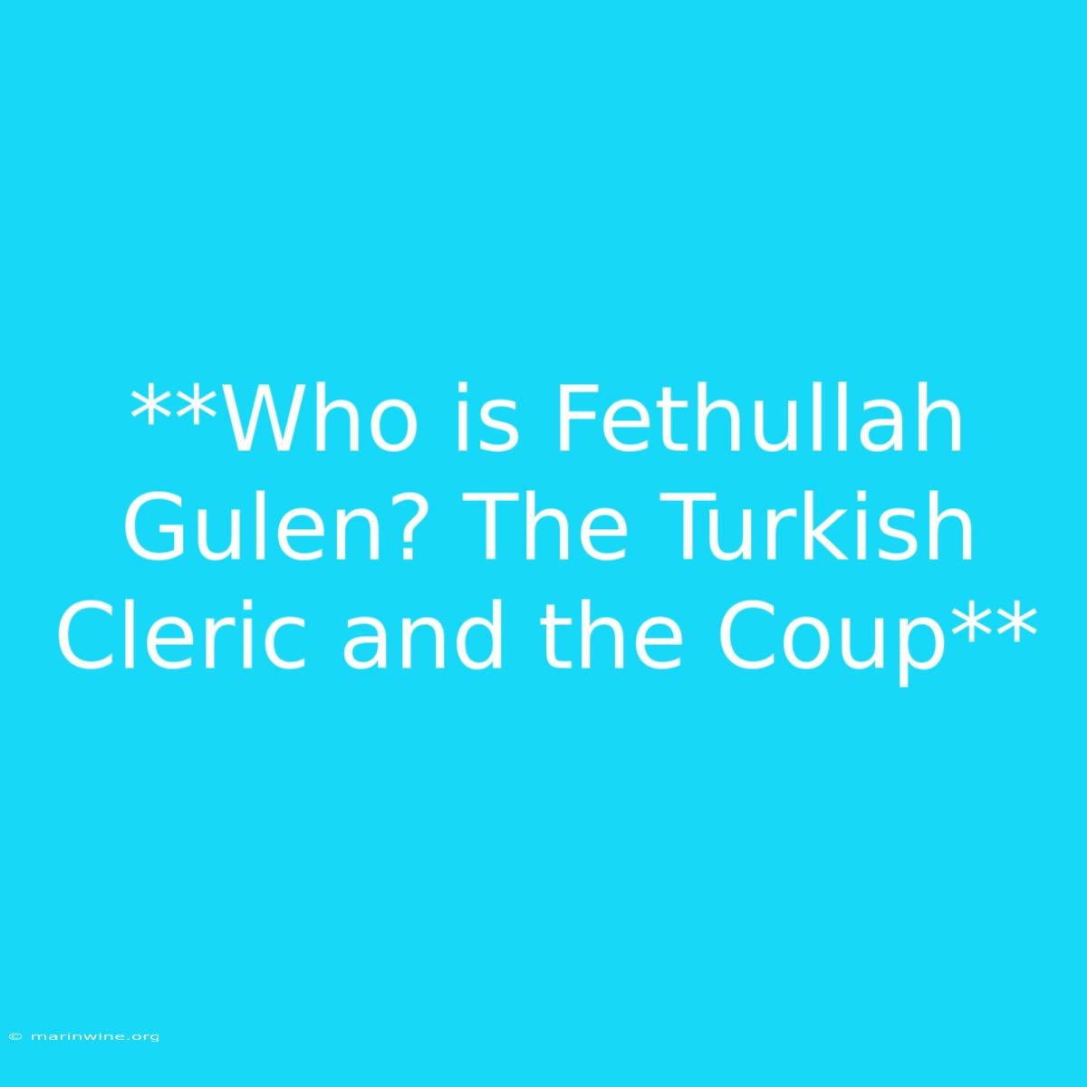 **Who Is Fethullah Gulen? The Turkish Cleric And The Coup** 