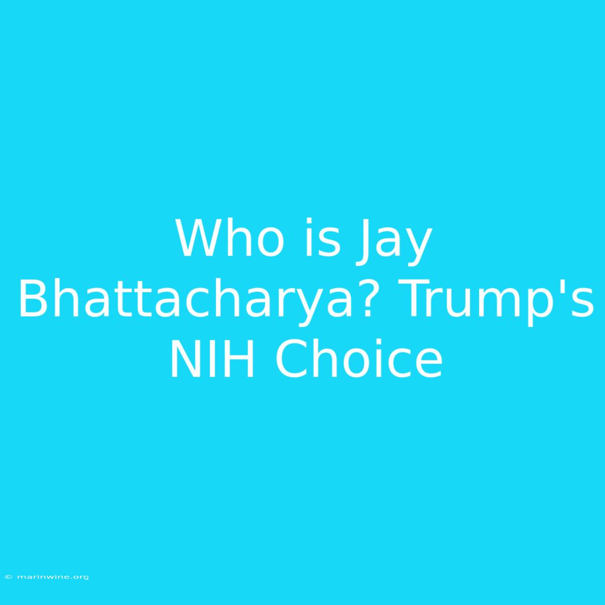 Who Is Jay Bhattacharya? Trump's NIH Choice