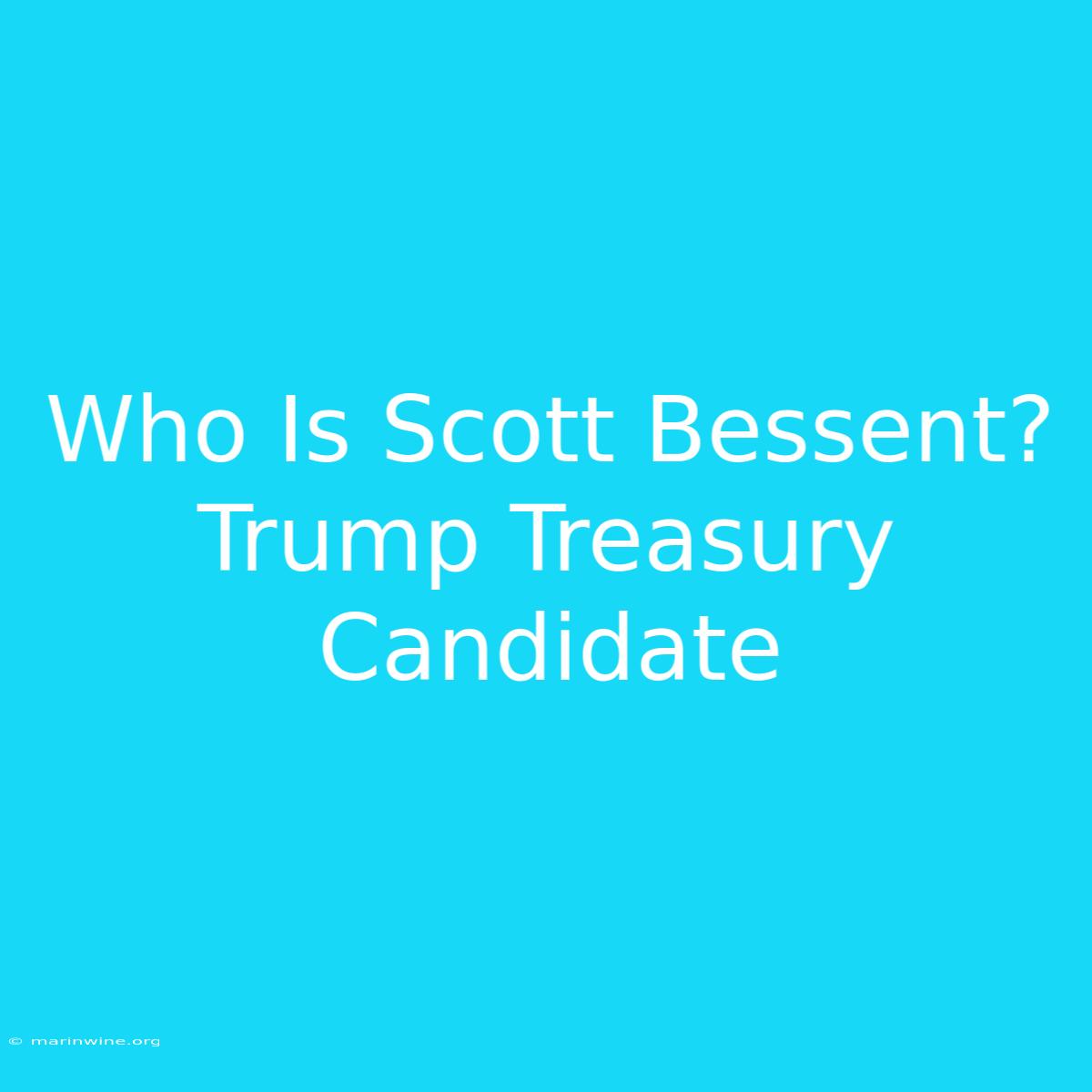 Who Is Scott Bessent? Trump Treasury Candidate