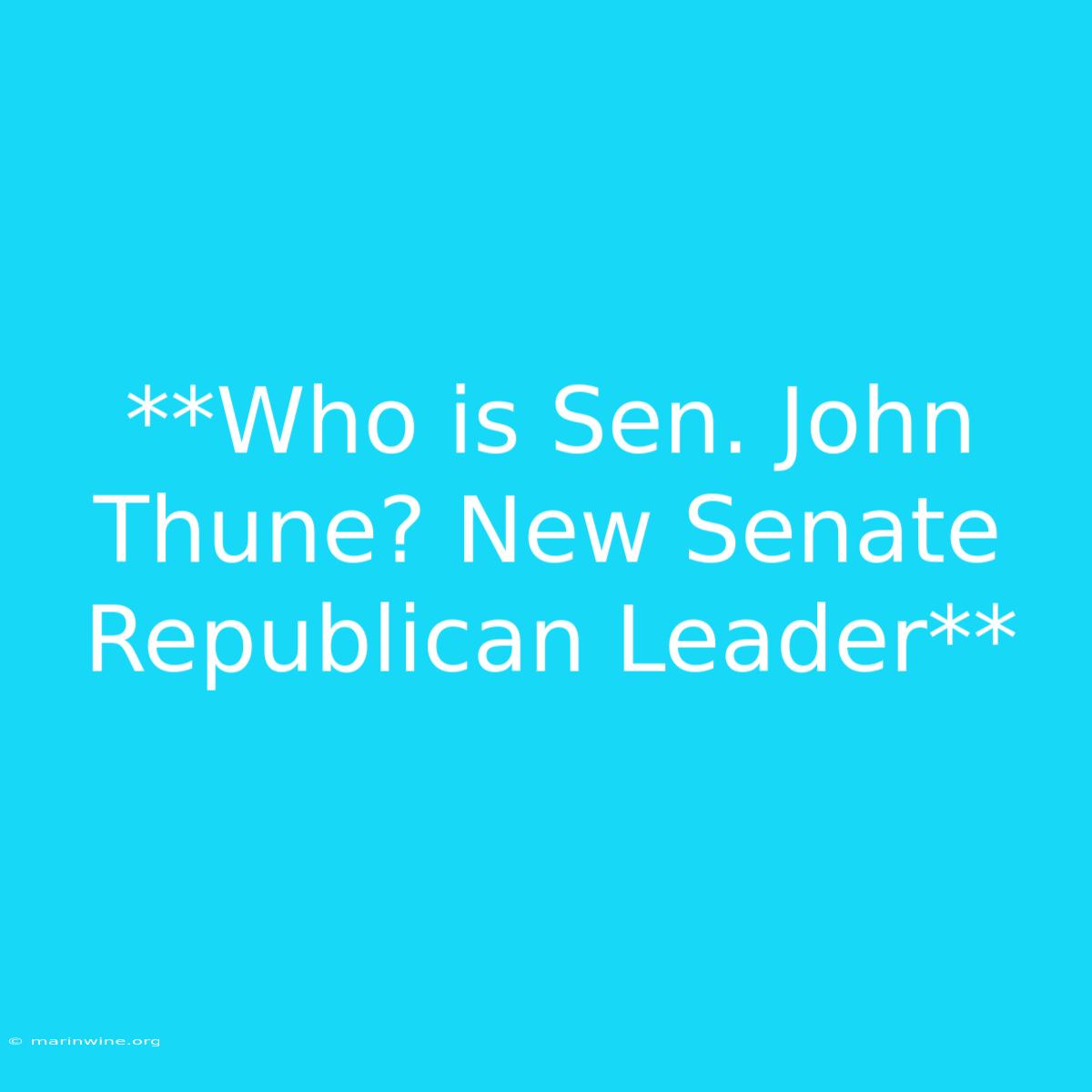 **Who Is Sen. John Thune? New Senate Republican Leader** 