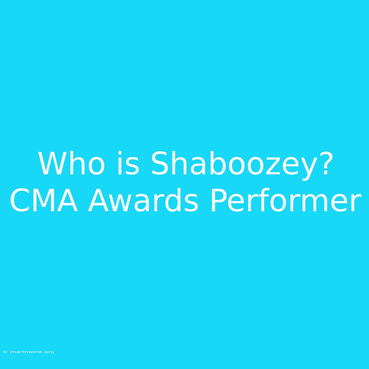 Who Is Shaboozey? CMA Awards Performer